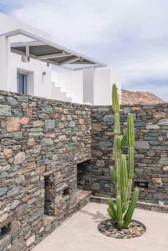Villa Nites