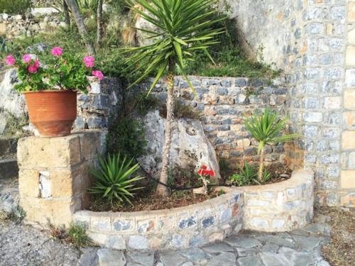 Silimare House 1