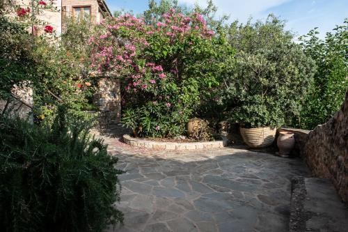 Villa Positivespace Olive Tree