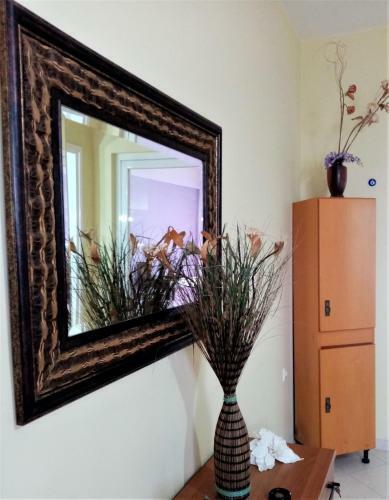 Afrodite Lefkimmi Apartment 1