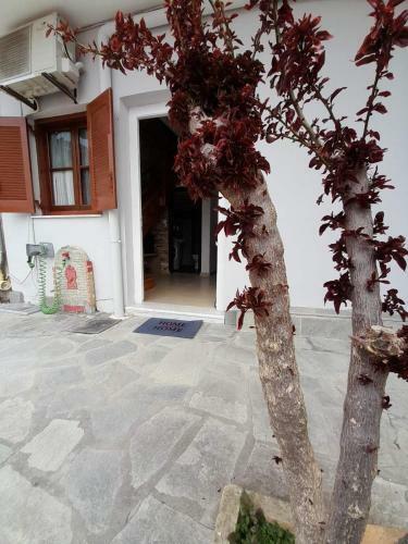 Elena's Home