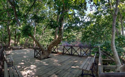 Antartisa B&B