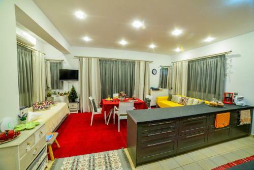 Giorgo's Luxury Apartment
