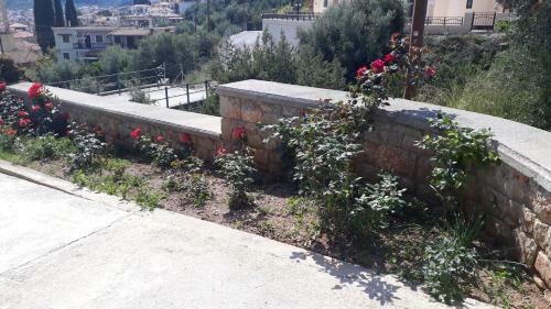 Ageliki's Luxury Apartment