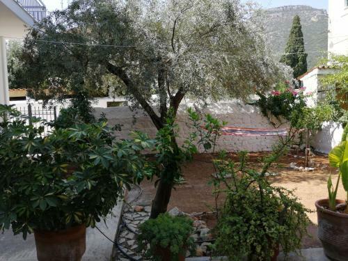 Apartamento Garden's Home