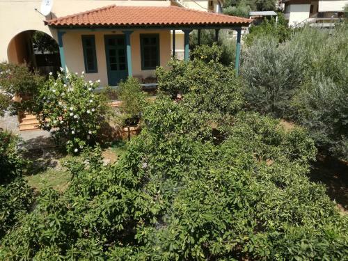 Apartamento Isolde's Home 3