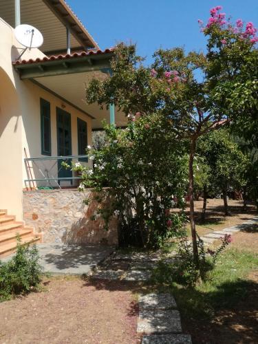 Apartamento Isolde's Home 3