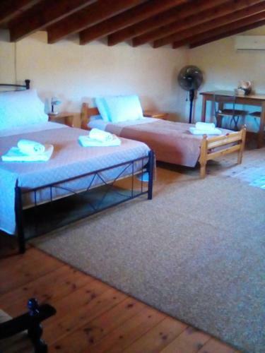 Apartamento Skampous Family