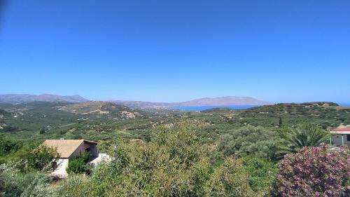 Petrakis House