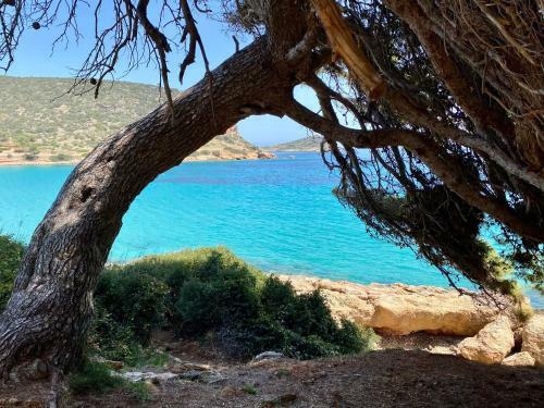 Apartamento Opal Country Gem Beach Side