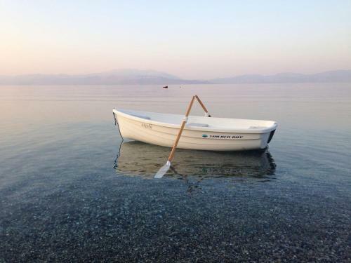 Villa Bees Bikes Boat Beach