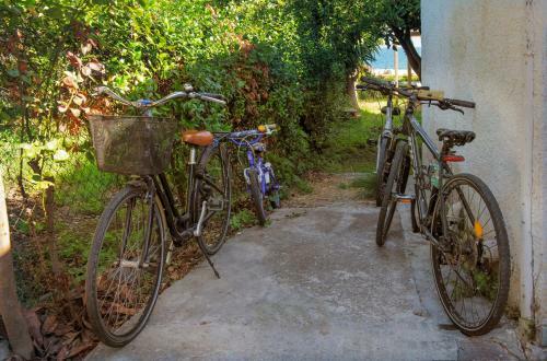 Villa Bees Bikes Boat Beach