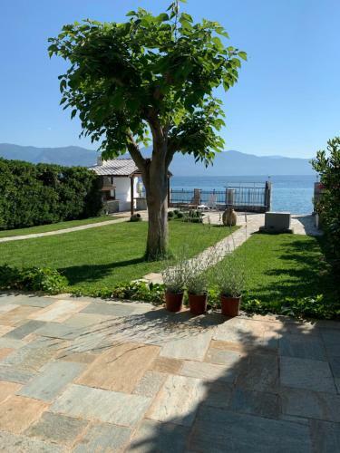Private Luxury Villa My Beach House