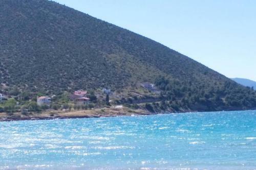 Villa The Blue House