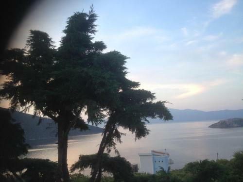 Villa Farran 1