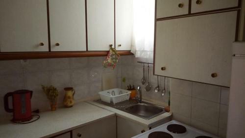 Big Apartment Near Olympus Mountain