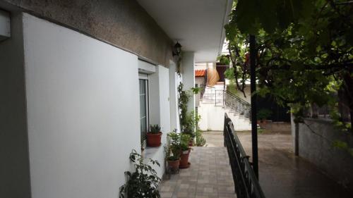Big Apartment Near Olympus Mountain