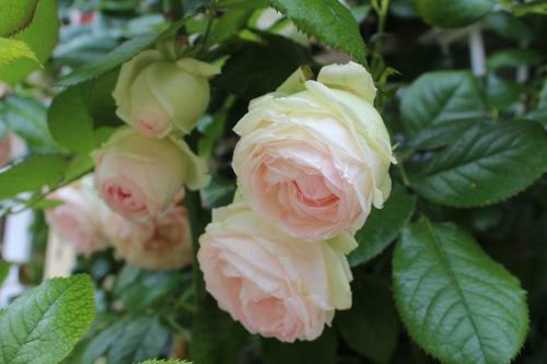 Bed & Breakfast Chambres D'h�tes La Gloriette