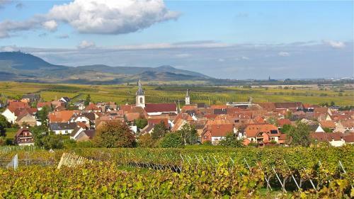 G�te Du Vignoble