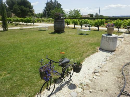 Bed & Breakfast Chambre Du Raisin