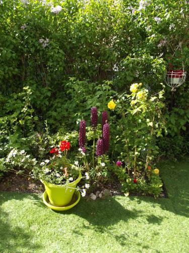Bed & Breakfast Chambres D'h�tes Les Gar�onni�res Du Sancy