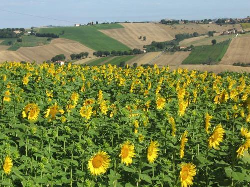 Apartamento Il Giardino Degli Ulivi