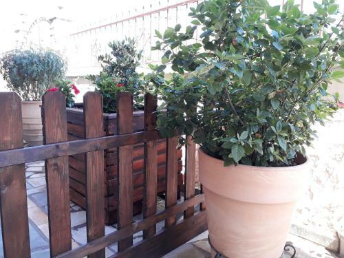 Apartamento Olympus Vacation Paradise