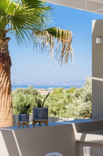Vasilios Villa, Luxury Escape!