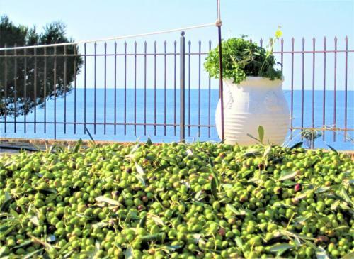 Mondo Cosseri Kefalonia Villa Rossa