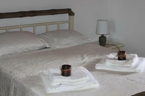 Antonis Traditional House