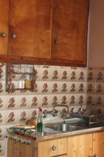 Antonis Traditional House