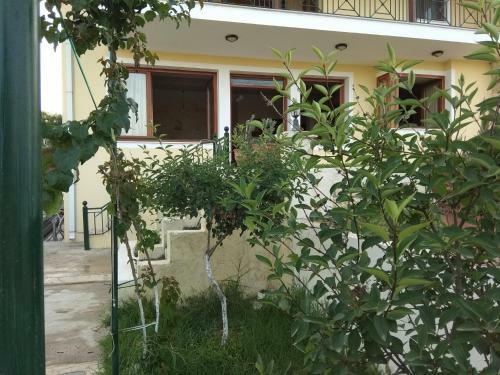 Villa Sunrise Vila