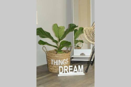 Aelia Apartment