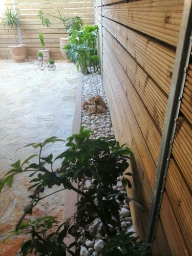 Marilena Luxury Apartments