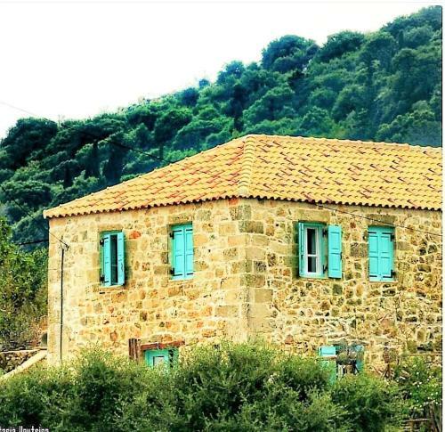 Villa The House. Light & Stone.