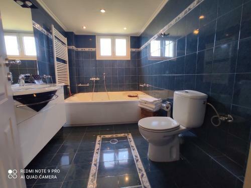 Villa Agiokampos Luxurious Resort