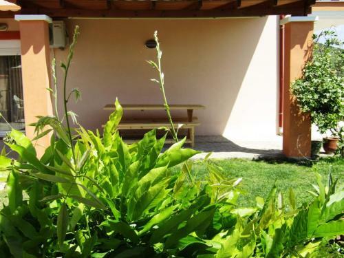 Apartamento Olive Grove House
