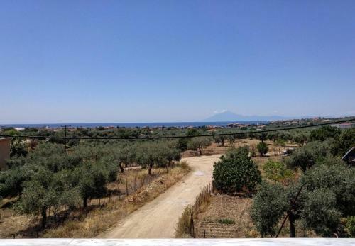 Apartamento Olive Grove House