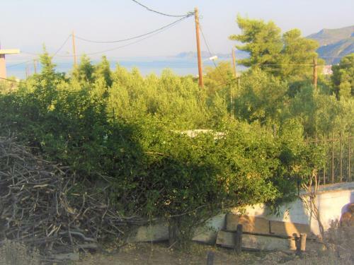 Apartamento Harmonic And Quiet Place Loutraki