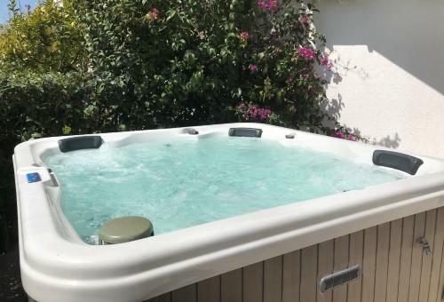 Apartamentos Elisa Seaside Luxury Suite