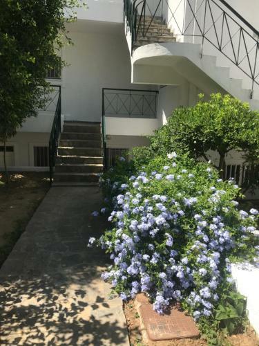 Apartamentos Elisa Seaside Luxury Suite