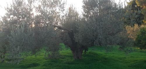 Villa Loutraki Sunset