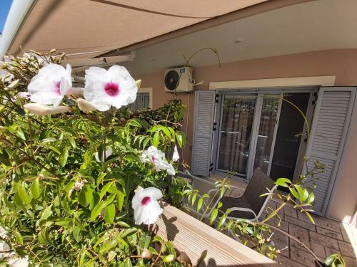 Celeni Apartments