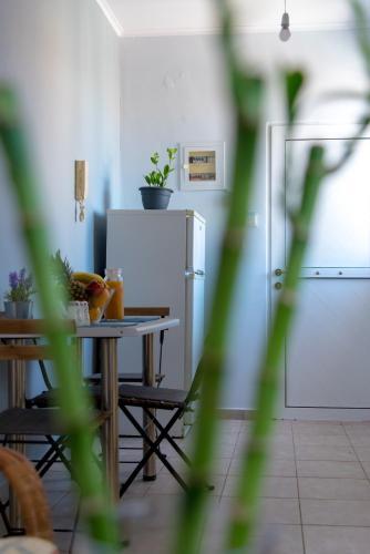 Apartamento Unico