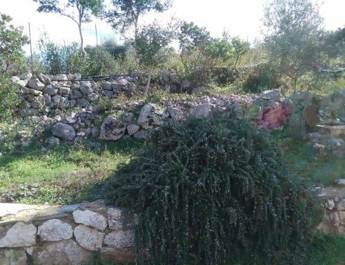 Andraclos House