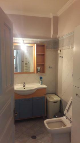 Aris Big Apartment