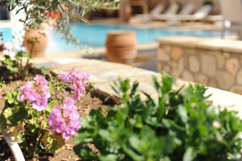 Apartamento Villa Vita Holidays