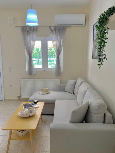 Olive Tree Apartments