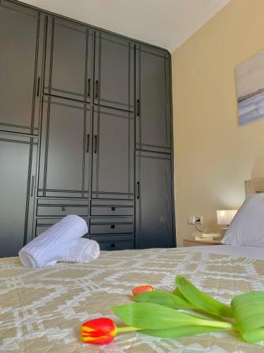 Olive Tree Apartments