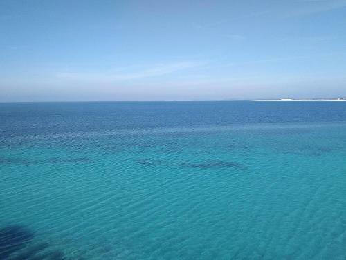 The Paradise Of Katerina